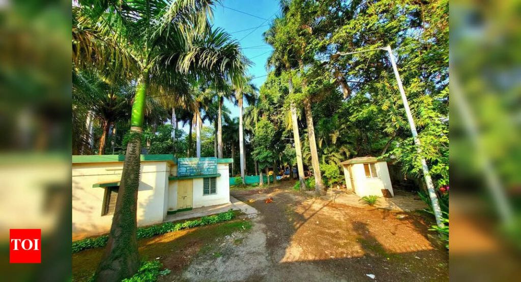 एफआयआर दाखल आणि चौकशी सुरू : निलंबित तहसीलदारांना ढाल केल्याच्या आरोपावरून दुडी