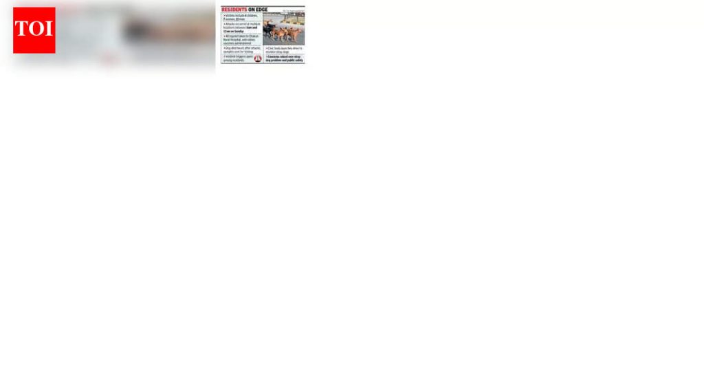 पुण्याजवळील चाकणमध्ये संशयित भटक्या कुत्र्याने 33 जणांना चावा घेतला