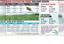 पुणे विभागात करडई पेरणीने उद्दिष्ट 150% ओलांडले, सोलापूरमध्ये वाढ