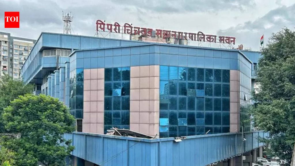 नवनिर्वाचित पीसीएमसी नगरसेवकांपैकी 74 इयत्ता बारावीपर्यंत आणि 43 जणांनी दहावीपर्यंत शिक्षण घेतले आहे. पुणे बातम्या