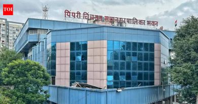 नवनिर्वाचित पीसीएमसी नगरसेवकांपैकी 74 इयत्ता बारावीपर्यंत आणि 43 जणांनी दहावीपर्यंत शिक्षण घेतले आहे. पुणे बातम्या