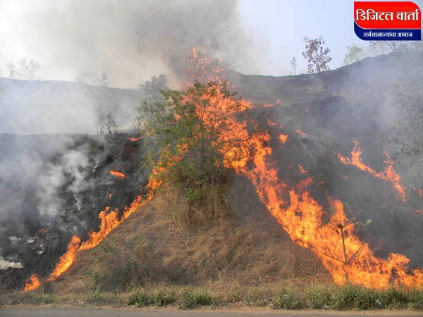 मावळात वनव्यांचा भडका; जनावरांच्या चाऱ्याचा प्रश्न गंभीर, पशुपालक चिंतेत