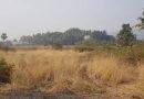 सोलापुरात आयटी पार्क विकसित करण्यासाठी एमआयडीसीला जमीन मिळणार : पालकमंत्री गोरे सोलापुरात आयटी पार्क विकसित करण्यासाठी एमआयडीसीला जमीन मिळणार : पालकमंत्री गोरे