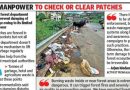 फॉरेस्ट पॅच डंपिंग ग्राउंड बनवतात, पर्यावरण आणि आगीची चिंता वाढवतात