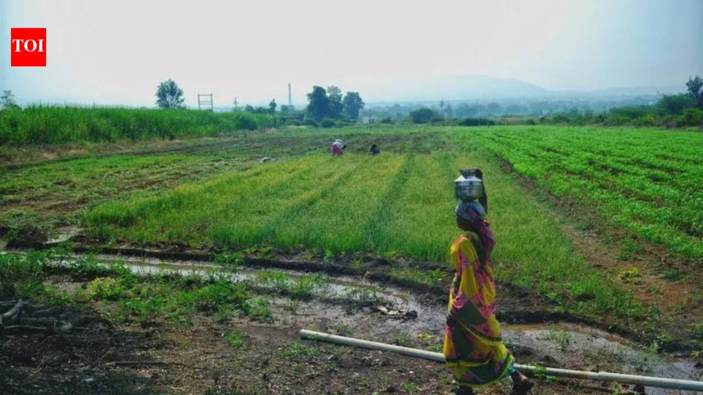 पुरंदर विमानतळ रस्ता जोडणीसाठी निधी गेल्या वर्षीच्या अर्थसंकल्पात मंजूर : PMRDA
