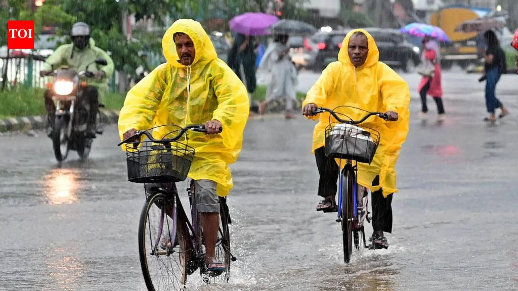 केरळचा मान्सून 1 जूनपासून सुरू होणे कमकुवत परिस्थितीत अनिश्चित दिसते: तज्ज्ञ