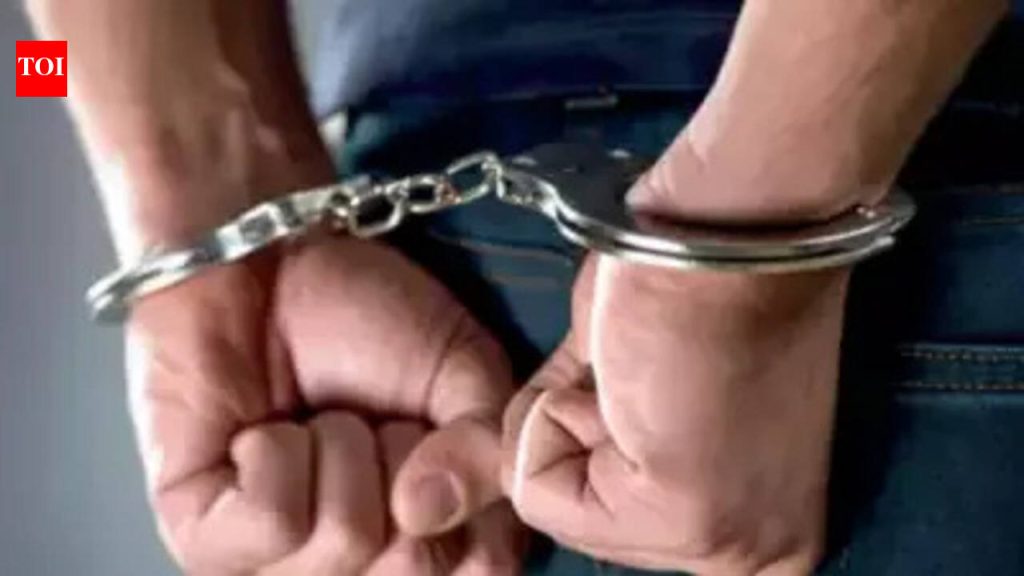 आयटी फर्मच्या हिंजवडी शाखेने प्रोजेक्टशिवाय अनेक फ्रेशर्सना कामावर घेतले, सरकारच्या आयटी कॉन्ट्रॅक्टवर डोळा: हिंजवडी कंपनीच्या सीईओच्या अटकेनंतर पोलिस