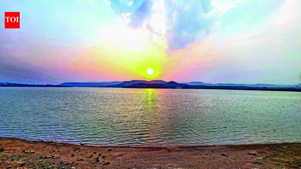 चार धरणांमध्ये जेमतेम २० टक्के साठा, पीएमसीसाठी पाणीपुरवठा कठीण पुणे बातम्या