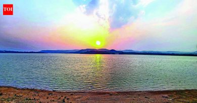 चार धरणांमध्ये जेमतेम २० टक्के साठा, पीएमसीसाठी पाणीपुरवठा कठीण पुणे बातम्या
