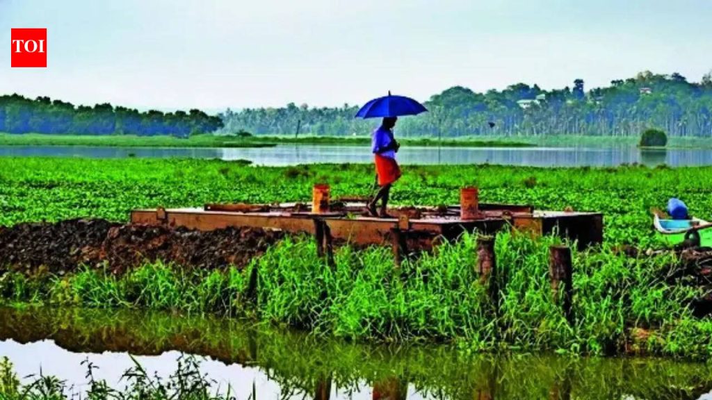 मान्सूनने महाराष्ट्राचे दार ठोठावले आहे, परंतु कोरड्या हवेच्या ड्रॅगने देशांतर्गत कूच करण्याचा धोका आहे