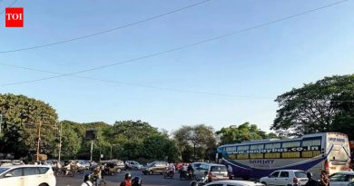 महत्त्वाच्या येरवडा जंक्शनवर उड्डाणपूल, ग्रेड सेपरेटरच्या प्रस्तावात प्रथम झाडे