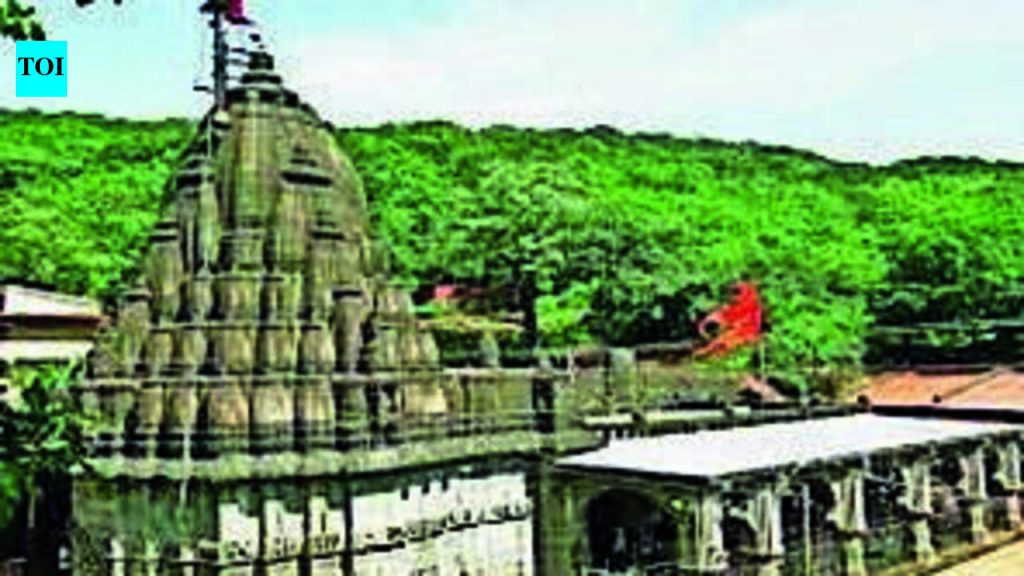 भीमाशंकर मंदिरात मोफत दर्शन सुविधा पुन्हा सुरू, सुरू असलेल्या कामांमध्ये गर्दीमुळे गर्दी व्यवस्थापनाची चिंता वाढली