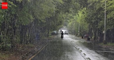 महाराष्ट्र घाट, लोणावळा, ताम्हिणी लॉगवर मान्सूनचे पुनरुज्जीवन | तिप्पट-अंकी पाऊस | पुणे बातम्या