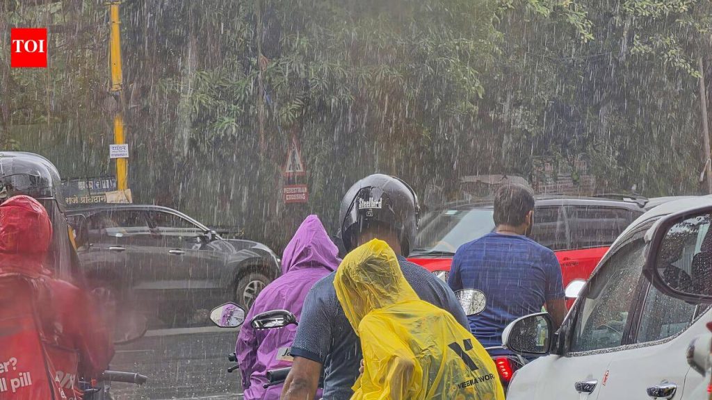 आज राज्याच्या काही भागात जोरदार सरी, शहरात हलका ते मध्यम पाऊस: IMD