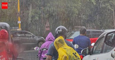 आज राज्याच्या काही भागात जोरदार सरी, शहरात हलका ते मध्यम पाऊस: IMD