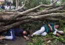 जनता वसाहत येथे वटवृक्ष अंगावर पडल्याने दोन महिला जखमी | पुणे बातम्या