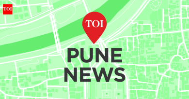 पडणारी झाडे, अयशस्वी यंत्रणा पुणे आणि पिंपरी चिंचवडला त्रास देत आहे पुणे बातम्या